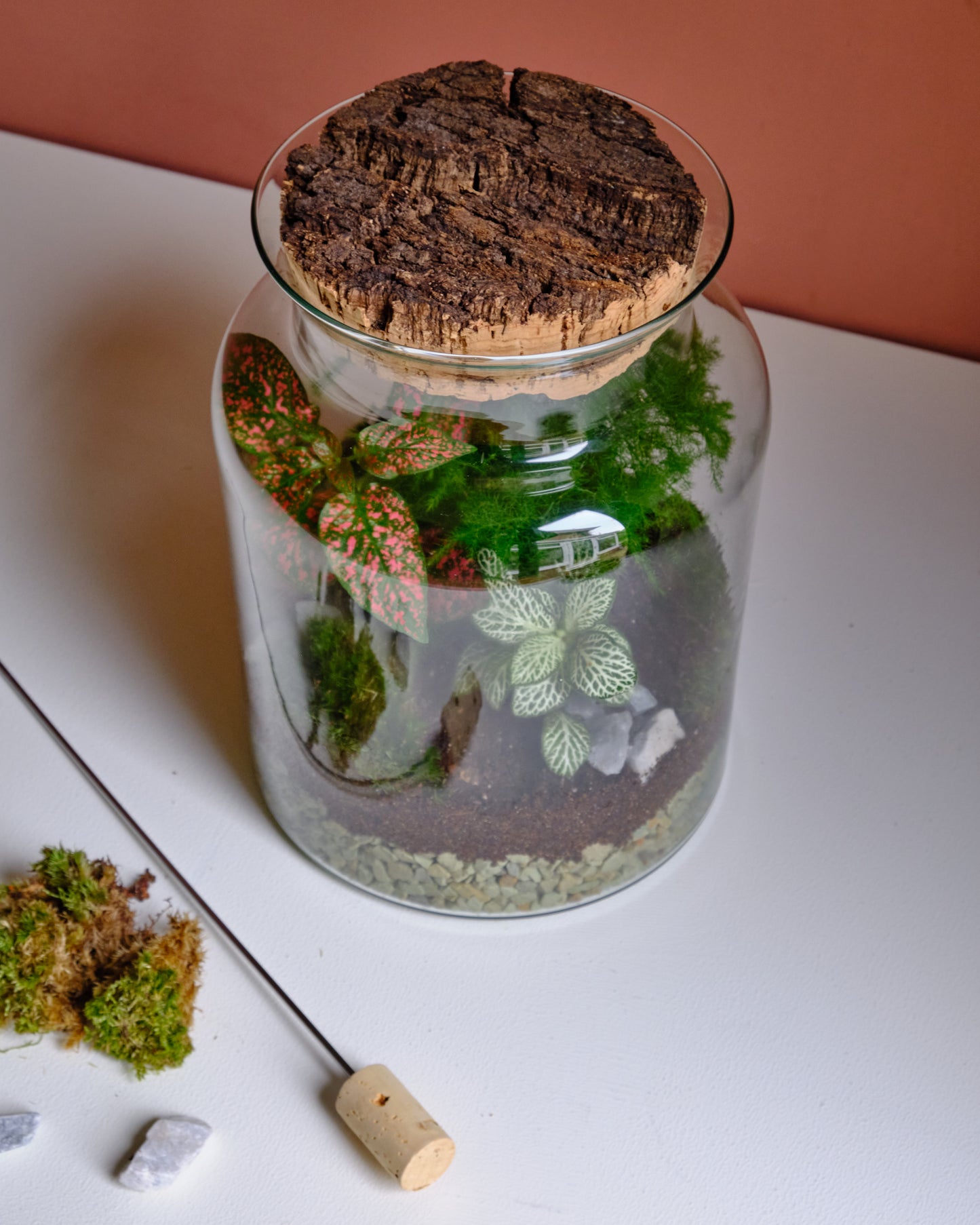 The Botanist - Medium Terrarium