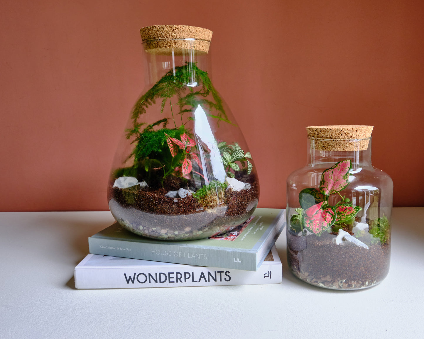 The Botanist - Small Terrarium