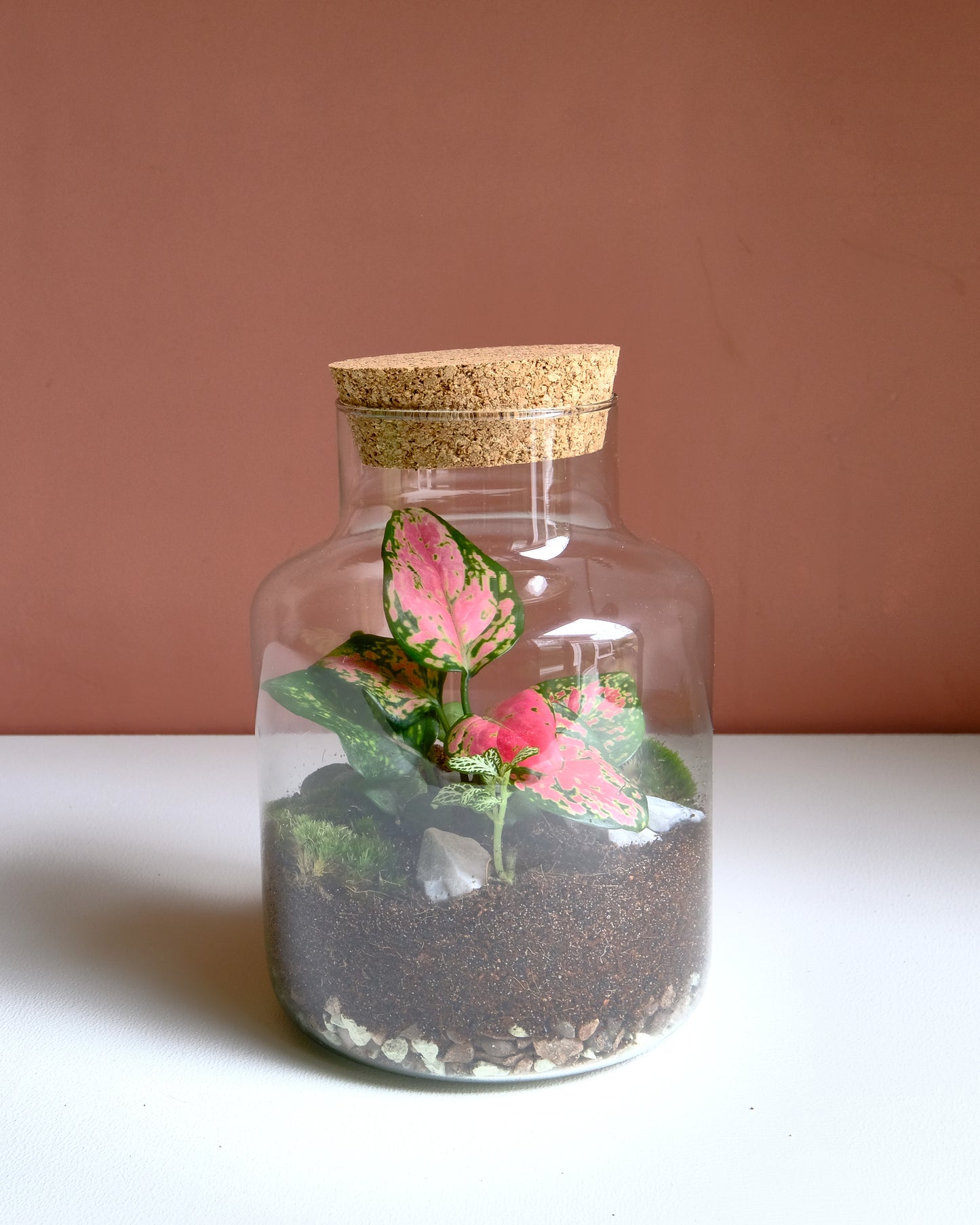 The Botanist - Small Terrarium