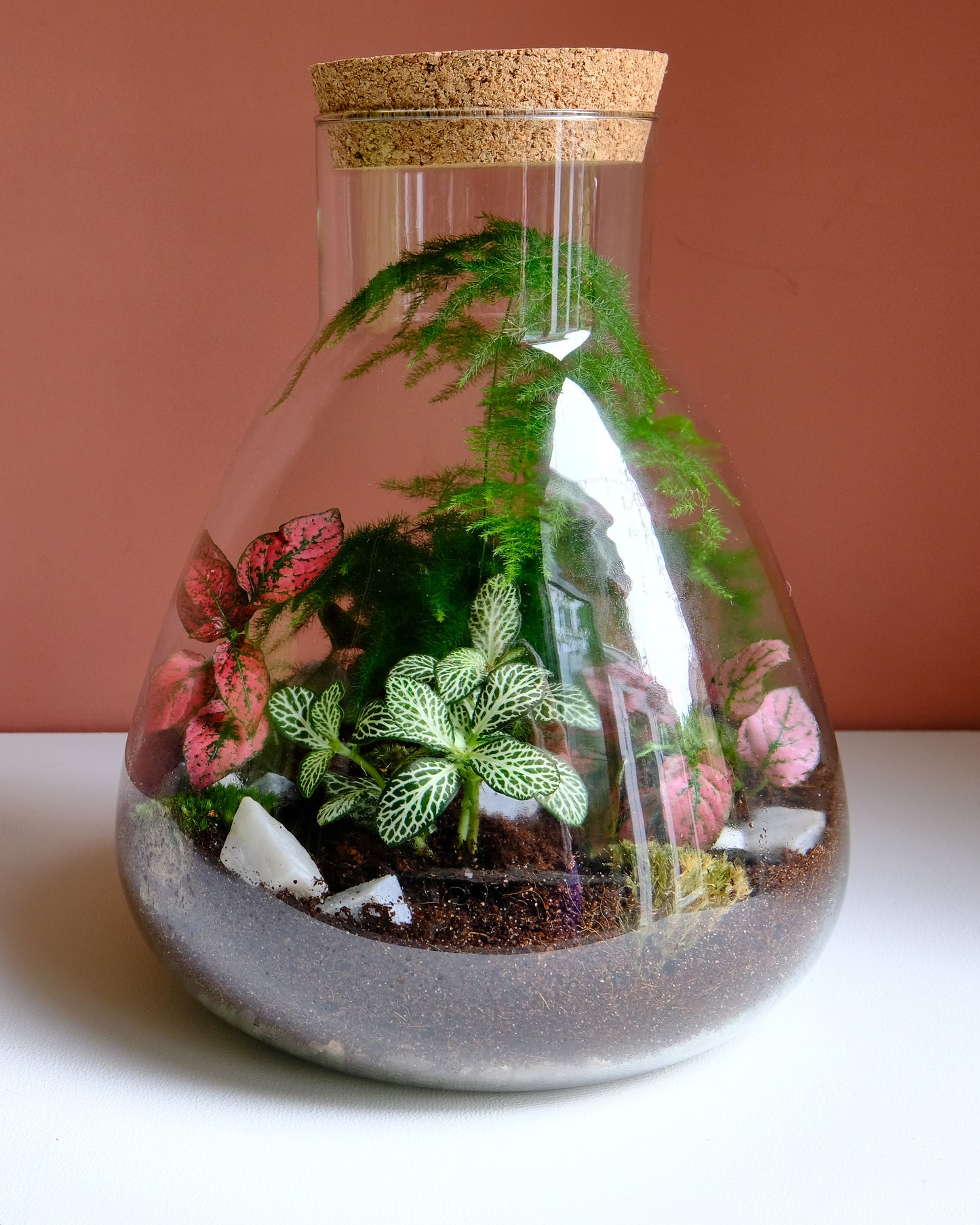 The Alchemist - Large Terrarium