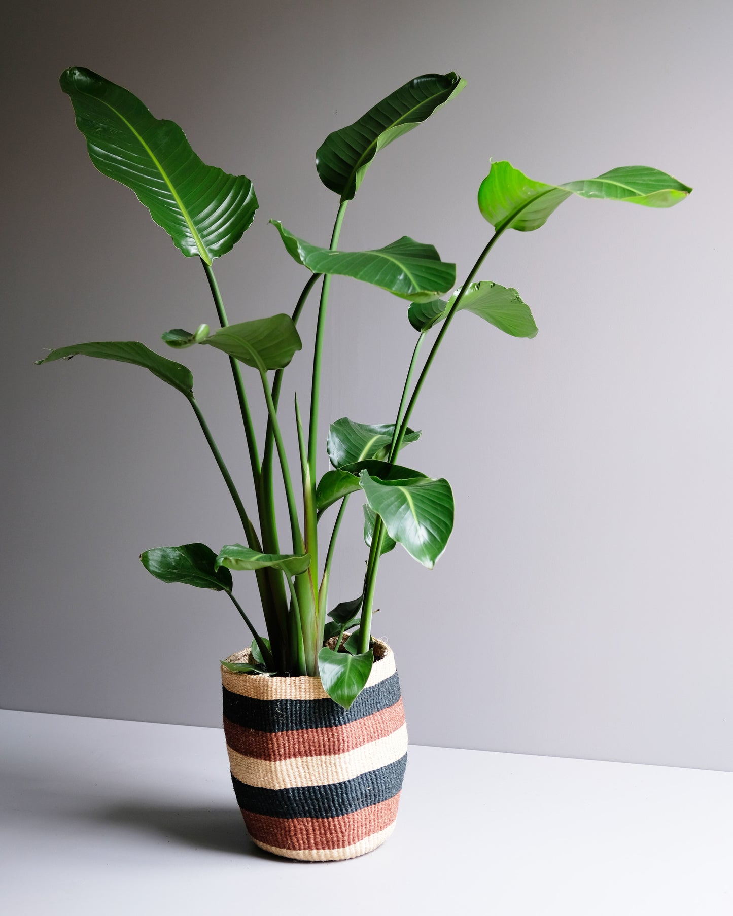 Tupu: Striped hand woven sisal basket