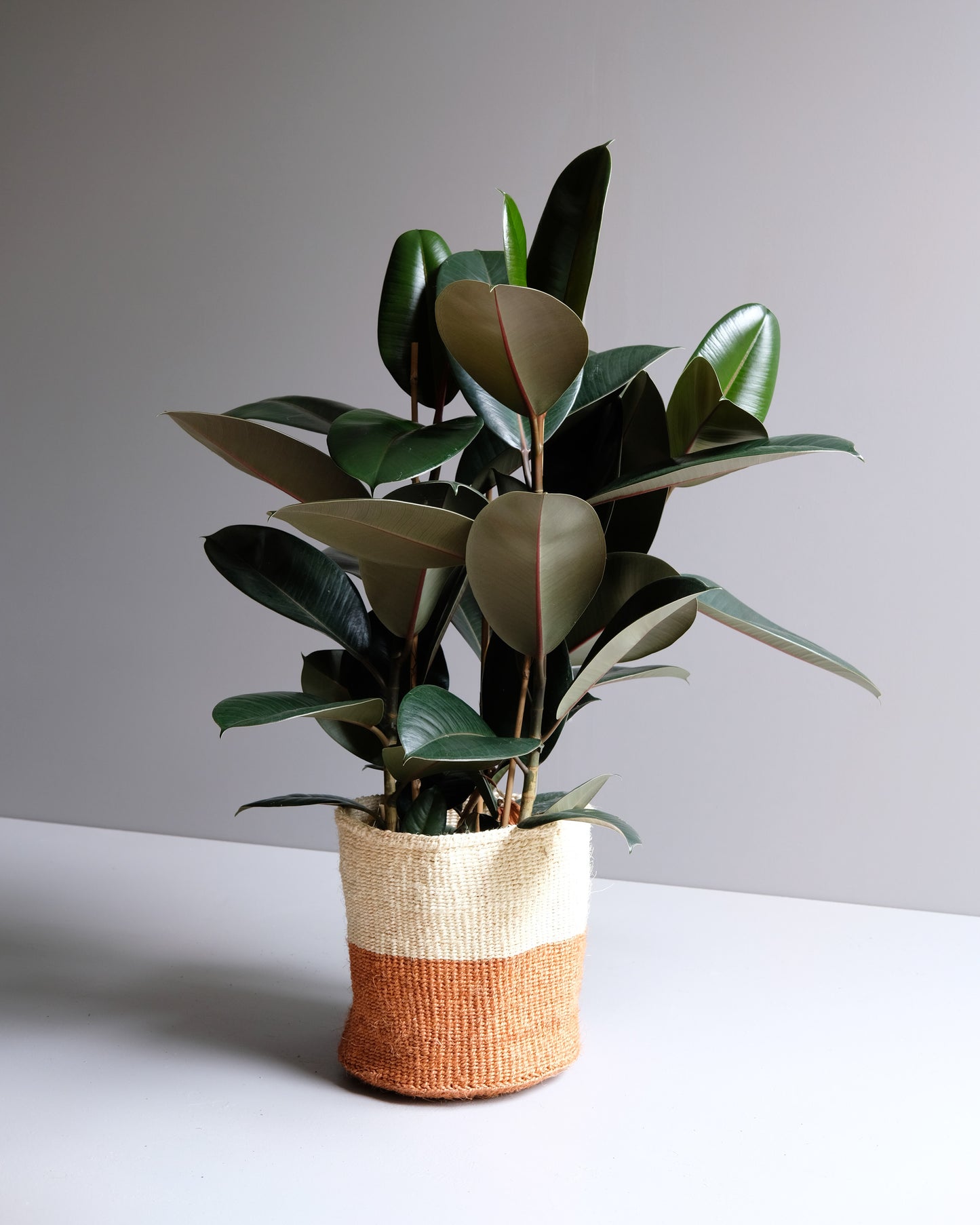 Samburu: Hand made dual tone sisal basket