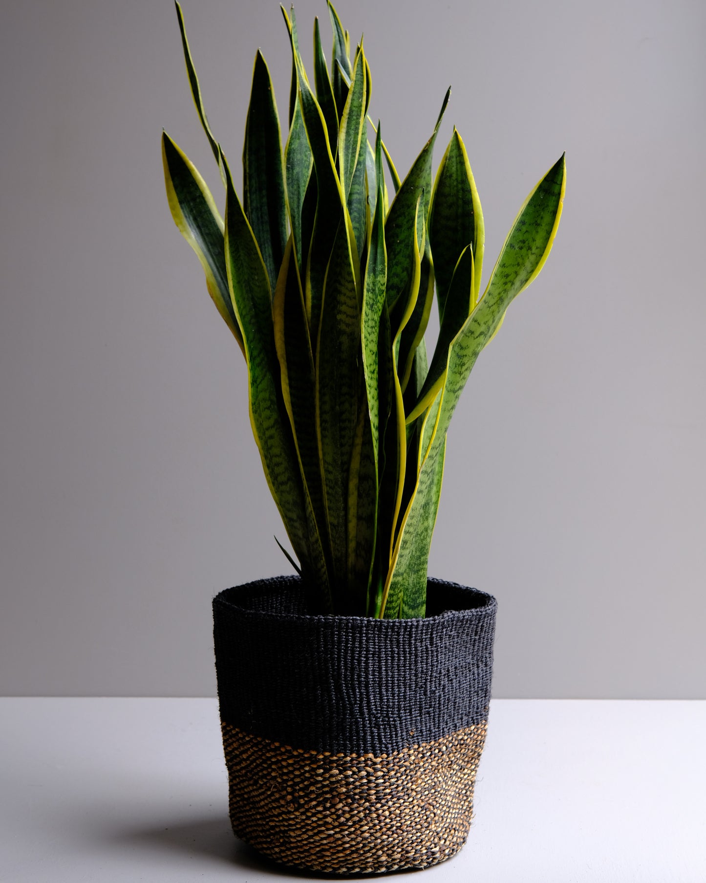 Makaa: Large Blue Sisal Basket