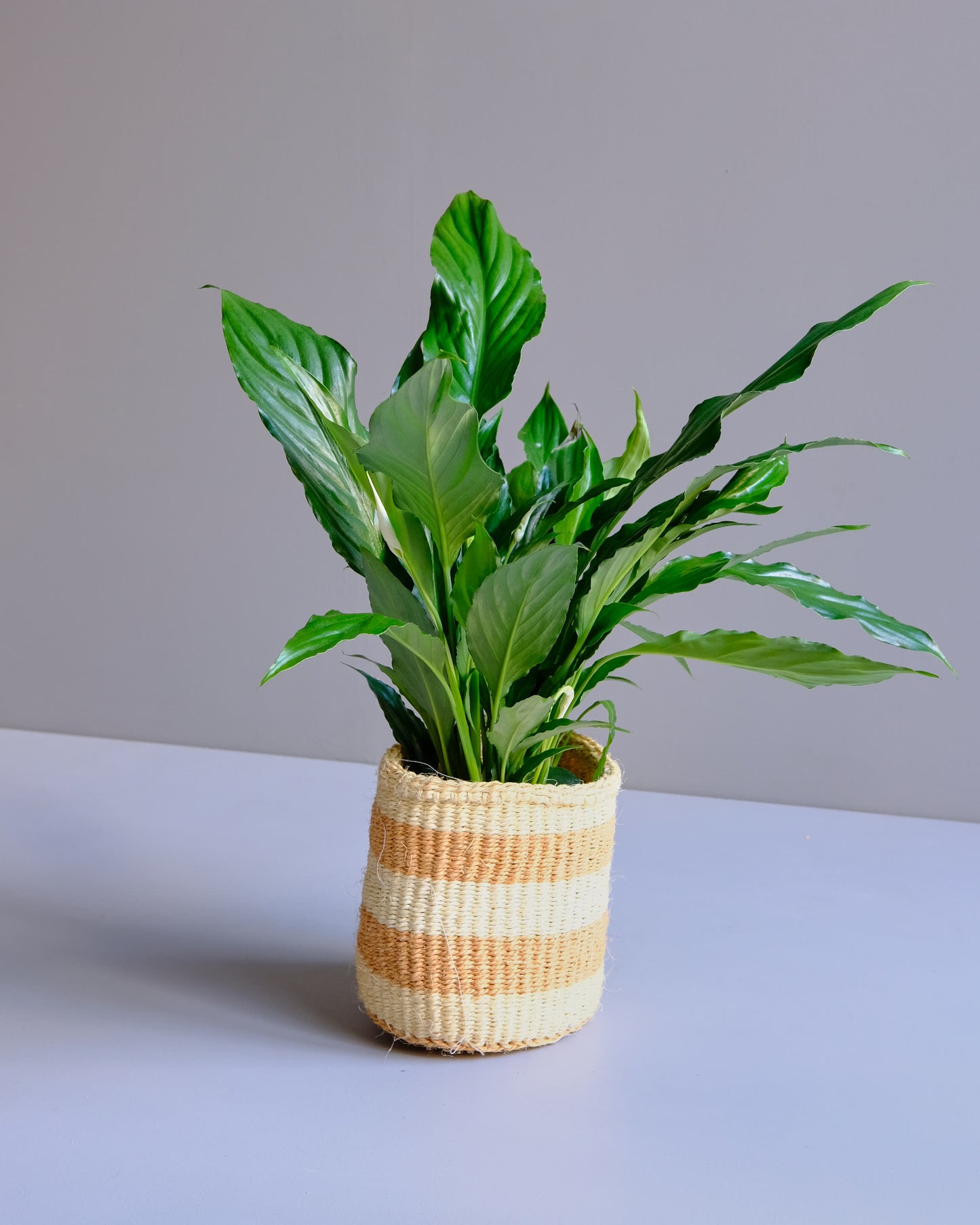 Hand woven Kenyan Sisal basket, striped horizontal warm neutral colours with peace Lilly