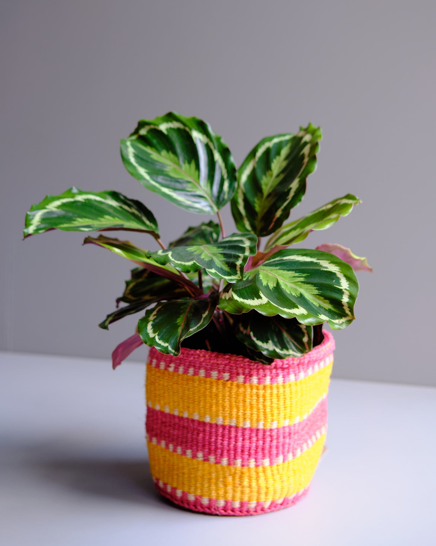 Pink and Orange Striped Sisal Basket