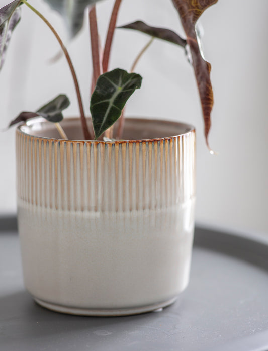 Hillesley Pot - Medium