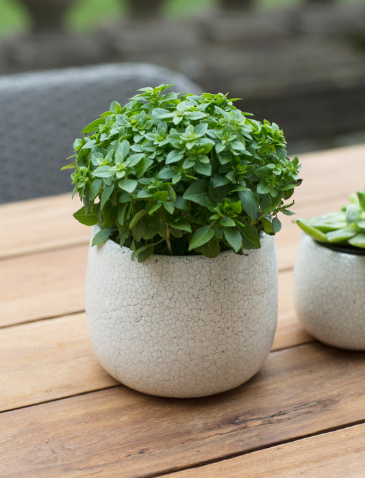 Ravello Pot