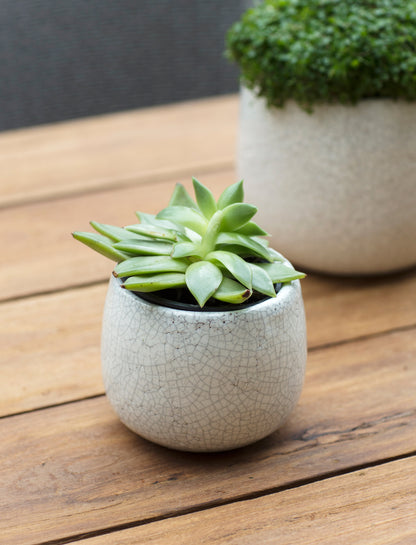 Ravello Pot