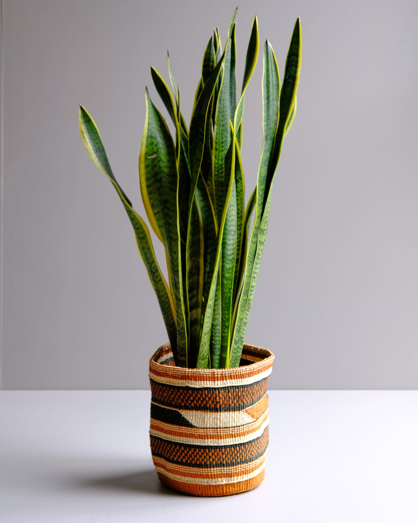 Tamaduni: Earthy geometric fine weave sisal basket