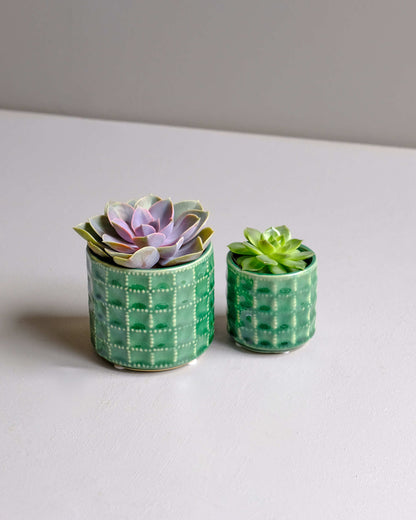 Green Textured Pot - Mini