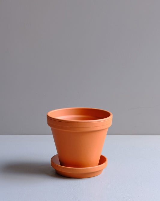 Classic Terracotta Planter (10cm)