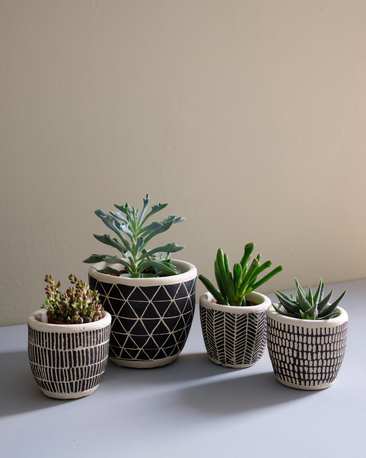 Scadndi boho cement planter succulent 