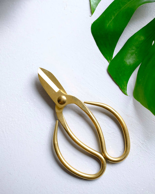 Stainless Steel Scissors